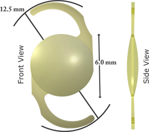 Acridiff-img